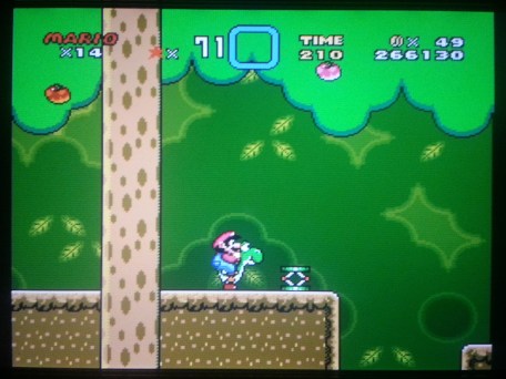 And soaked in colour!