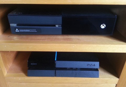 Awww, look at them just co-existing harmoniously...