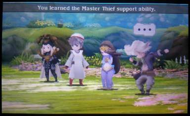 Four heroes, four crystals, and a ton of fun.